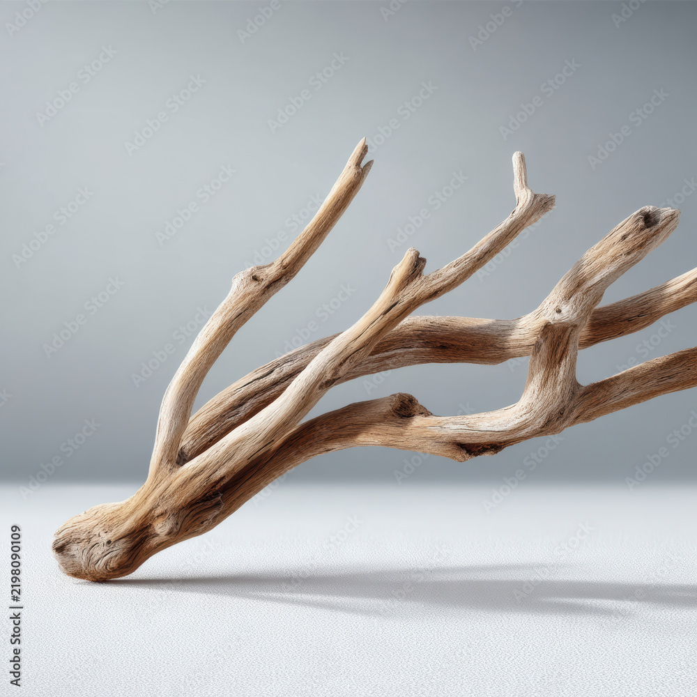 Obraz premium Driftwood branch wood natural dry isolated texture neutral minimalist organic Driftwood branch wood natural dry isolated