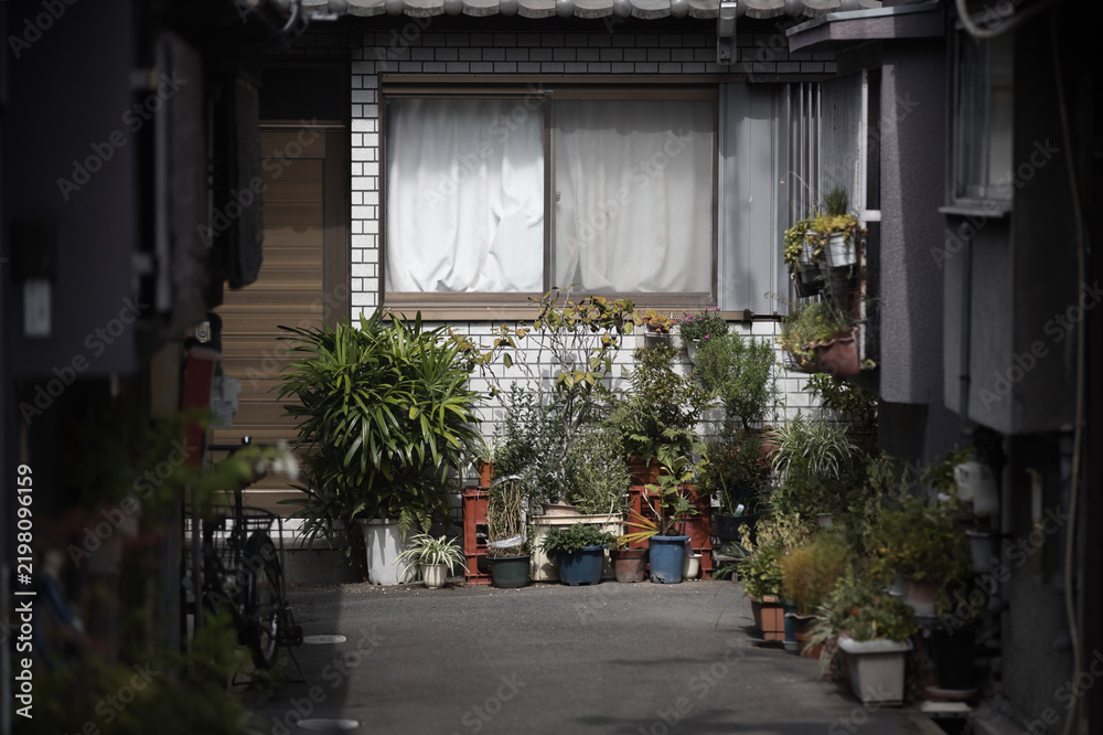 Fototapeta premium Quiet courtyard of an old house filled with potted plants, Osaka