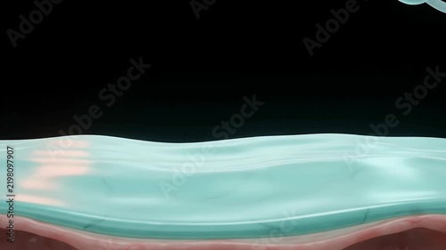 Alveolar Anti-Collapse Surfactant Shield and Lung Elasticity Hold