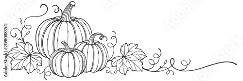 Pumpkin line art style vector illustration