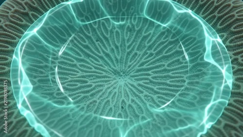 Alveolar Surfactant Film Radial Spreading and Surface Tension Relief