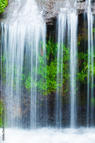 waterfall in the forest