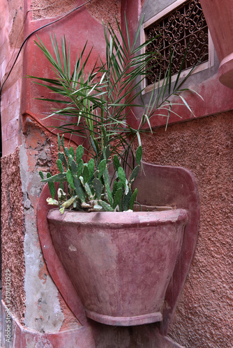 Traditional Moroccan wall planter with cactus in Marrakesh