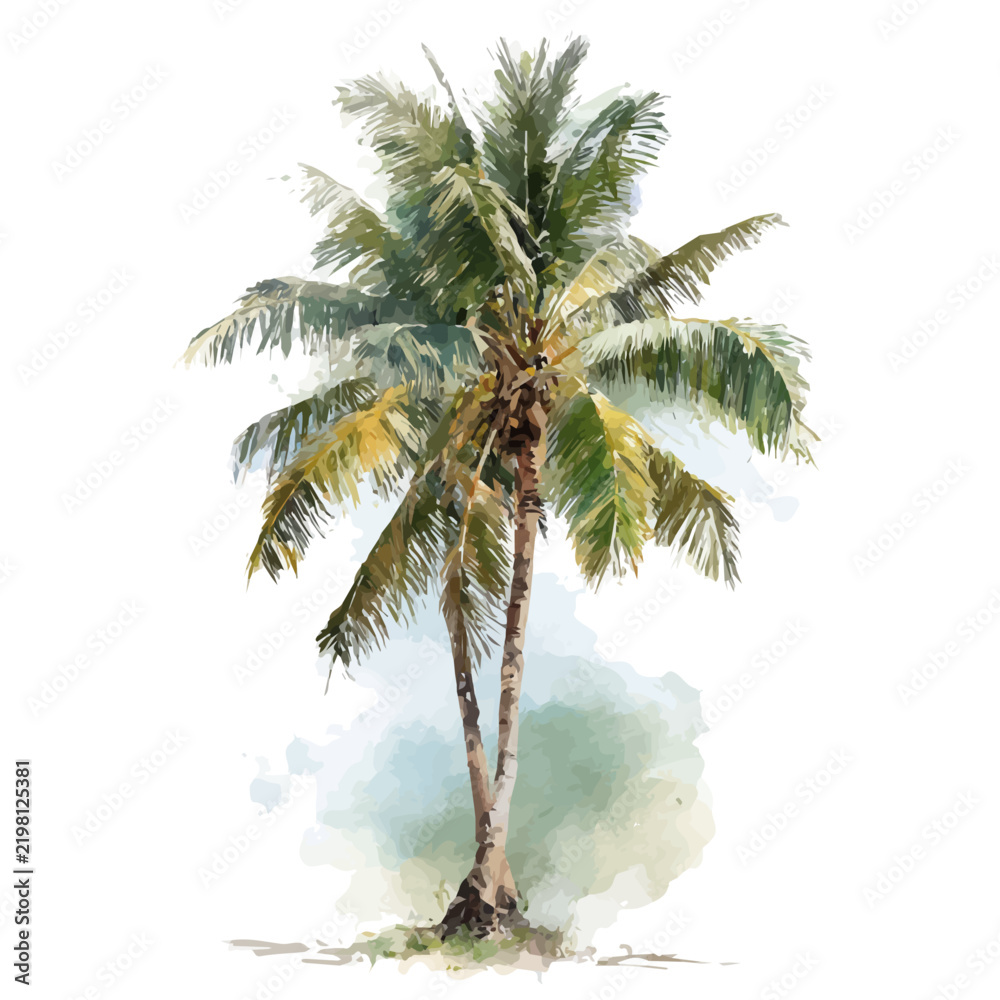 Obraz premium Coconut Tree, watercolor painting vector, isolated on a white background.