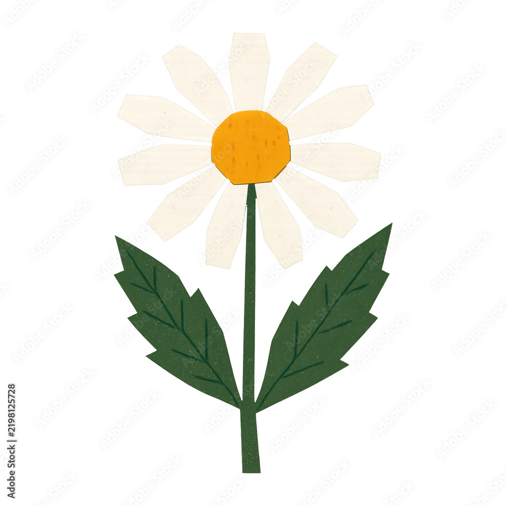 Obraz premium PNG Whimsical daisy illustration with leaves.