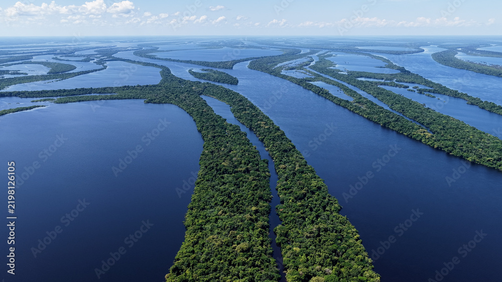 Obraz premium Anavilhanas National Park At Novo Airao In Amazonas Brazil. Amazon Rainforest. Riverside Islands. Wildlife Background. Anavilhanas National Park In Novo Airao In Amazonas Brazil. Beautiful Landscape.