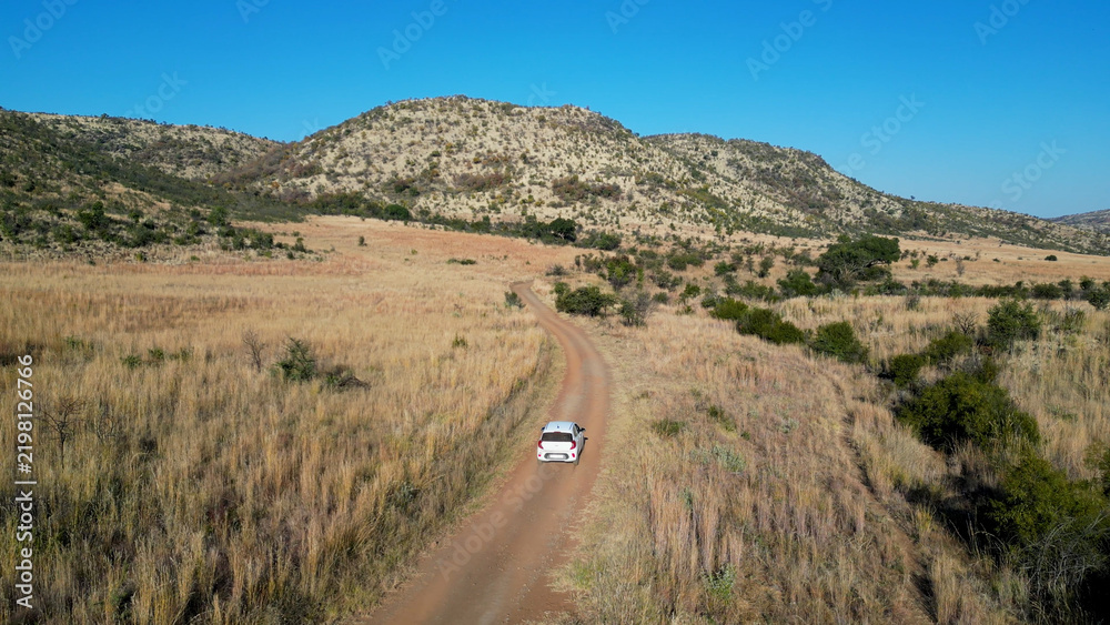 Obraz premium Wild Road At Pilanesberg National Park In North West South Africa. African Animals Landscape. Pilanesberg National Park. Pilanesberg National Park At North West South Africa. Big Five Animals.