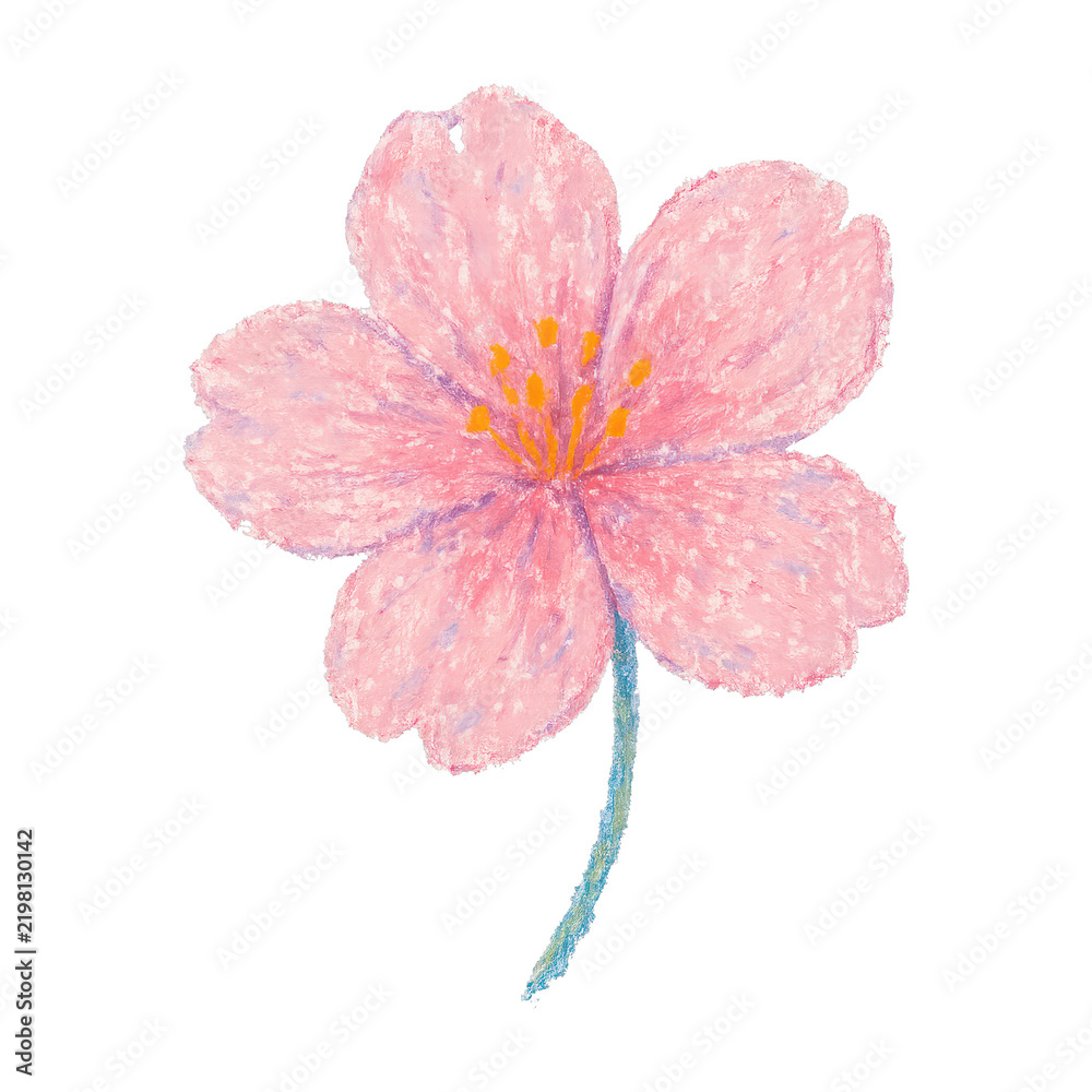 Obraz premium PNG Pastel cherry blossom illustration