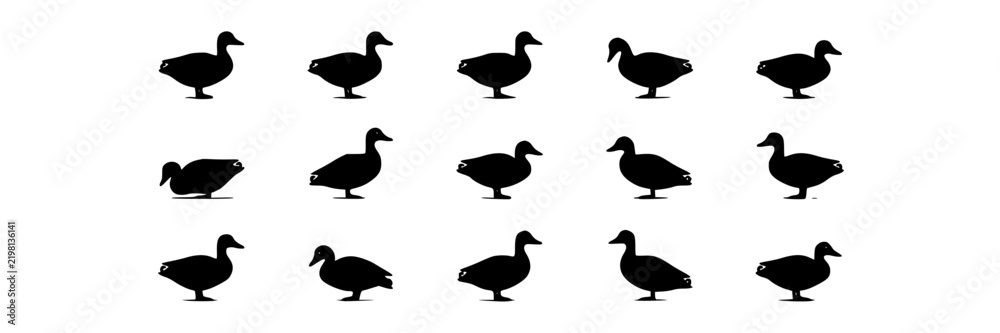 Obraz premium Ducks, Minimalist Silhouette Design, Black Vector Illustration. Simple Animal Icon, Modern Graphic Element