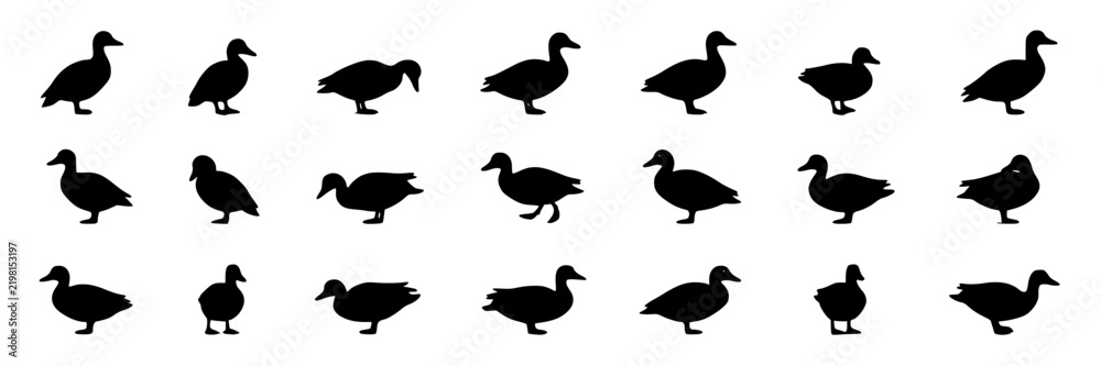 Obraz premium Waterfowl, Silhouette Icons Set, Black Vector Illustrations. Bird Icons, Wildlife Design Elements, Nature Concept.