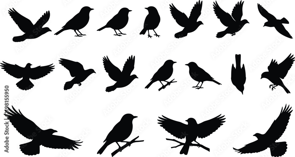 Fototapeta premium Set of bird silhouettes, flying and perched avian vector icons, black raven and sparrow shapes, nature wild wings isolated elements, collection