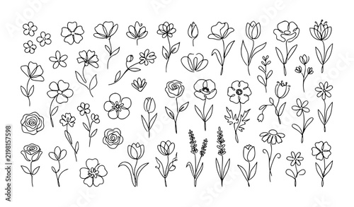 Organic Hand Drawn One Line Floral Doodle Vector Set