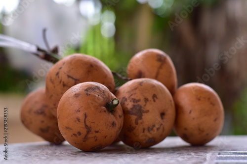fruit is called greater tampoi aka aglaia sp with white fruit content and light brown fruit skin, Baccaurea macrocarpa fruit