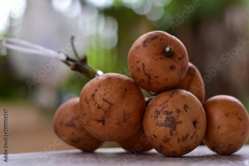 fruit is called greater tampoi aka aglaia sp with white fruit content and light brown fruit skin, Baccaurea macrocarpa fruit
