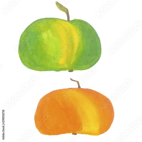 Green and orange apples watercolor fruit illustration isolated on white background