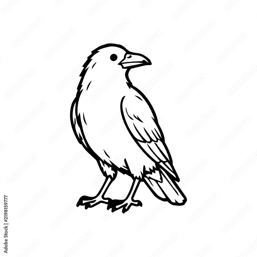 Fototapeta premium Hand Drawn Crow Halloween Spooky Bird Line Art Illustration
