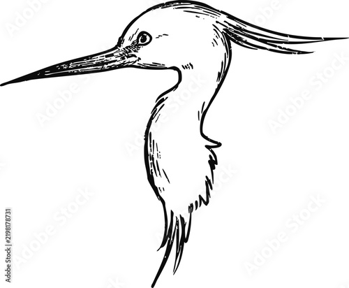 Simple and adorable Little Egret illustration with outlines only in vintage style