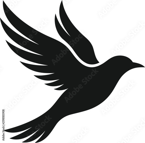 Silhouette pigeon flying in mid-air