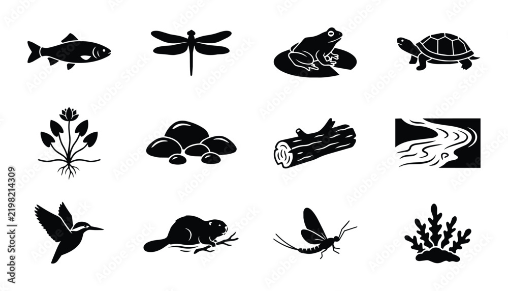 Obraz premium Aquatic Ecosystem Icons: Fish, Frog, Turtle, Beaver, Dragonfly, River, Plants, Rocks, Log, Hummingbird Vector Set