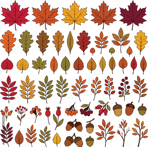 Collection of colorful autumn leaves isolated on a white background
