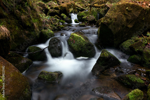 Waterfall on the mountain Carpathian river among mossy boulders, fast flow, crystal water. water flowing between mossy rocks. nature background with river through fores