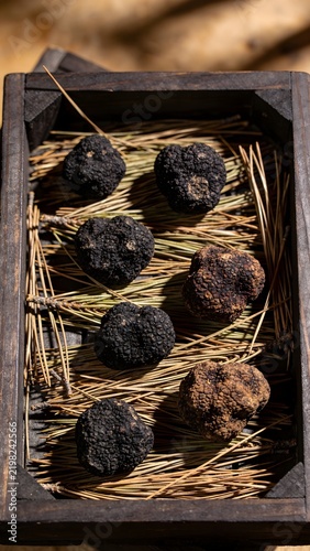 Luxury Ingredient Display featuring Fresh Whole Black Truffles Resting on a Dark Slate Platter