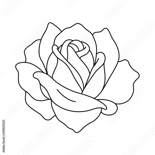 High Centered Rose Flower Head Line Art Vector