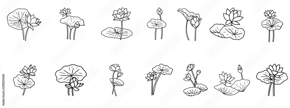 Fototapeta premium Hand-drawn black-and-white botanical line art set of blooming lotus flowers, buds, and leaves isolated on a white background.