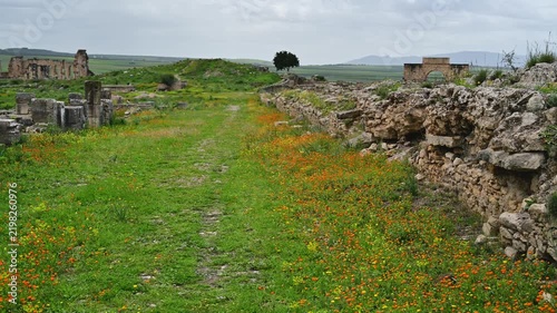 Ancient Roman ruins of Volubilis in Morocco with wildflowers