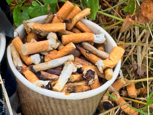 Discarded Cigarette Butts Overflowing from Paper Cup in Nature, Environmental Pollution and Litter Concept