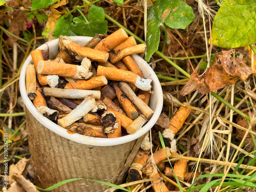 Discarded Cigarette Butts Overflowing from Paper Cup in Nature, Environmental Pollution and Litter Concept