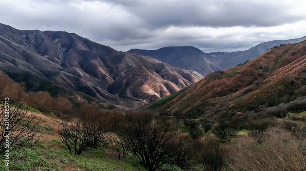 Fototapeta premium Mountain valley with rolling hills and bare trees under cloudy sky