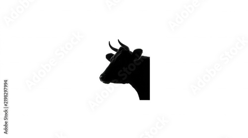 Silhouette of a cow on a white background.
