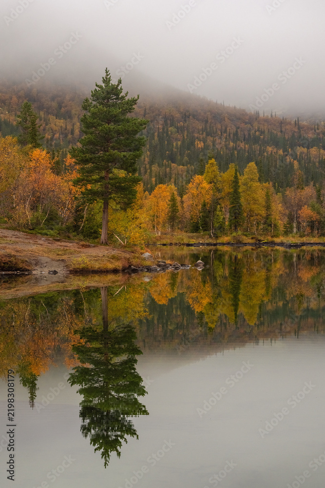 Obraz premium Serene autumn landscape of Khibiny mountains with golden taiga forest perfectly reflected in calm water of lake under dense fog