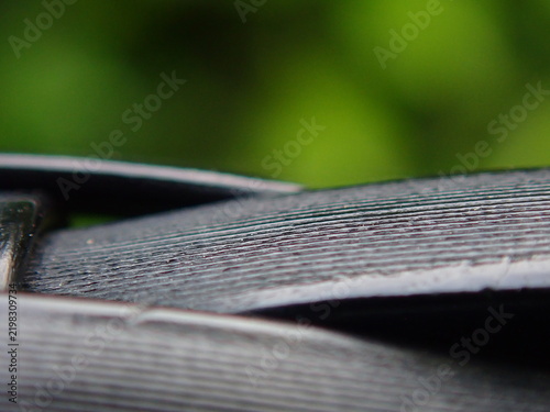 close up of a green leaf on the table