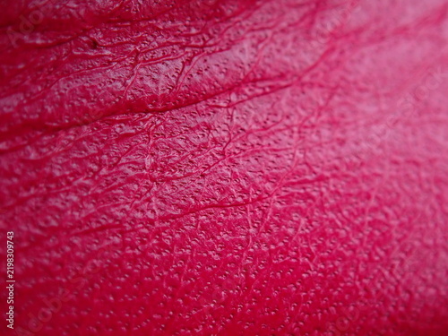macro of red rose petals