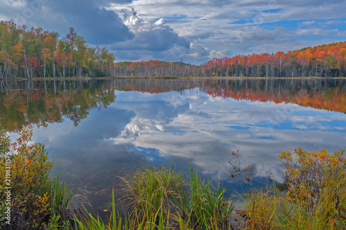 Autumn landscape of the shoreline Scout Lake with mirrored reflections in calm water, Hiawatha National Forest, Michigan's Upper Peninsula, USA