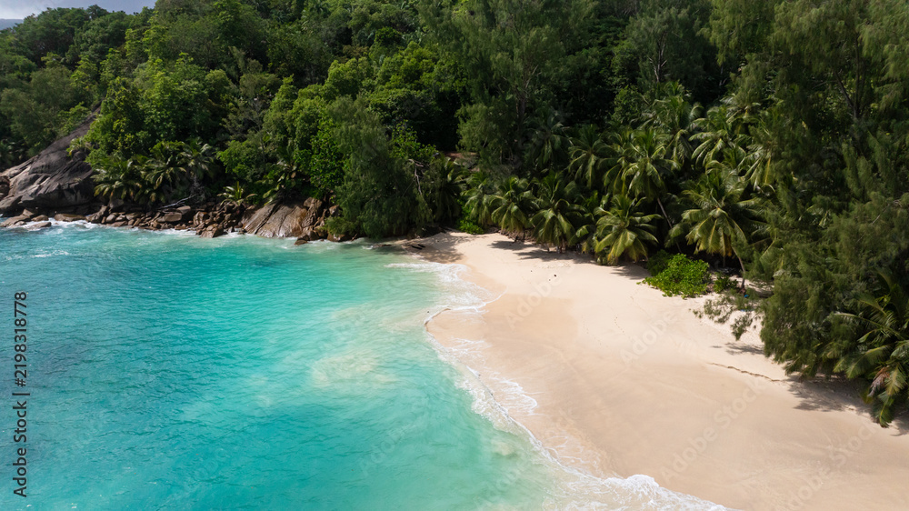 Fototapeta premium White sandy beach bordered by turquoise waters and dense tropical palm trees. Seychelles, Mahe. Anse Soleil.