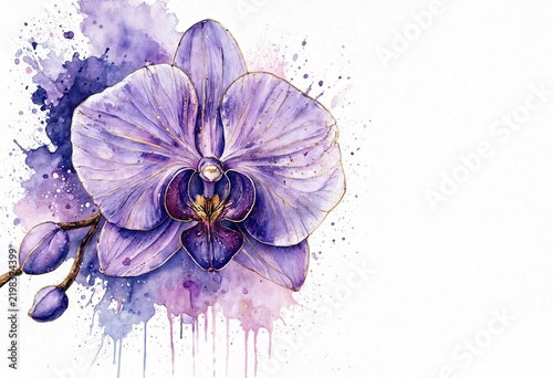 Watercolor Purple Orchid with Splash Background