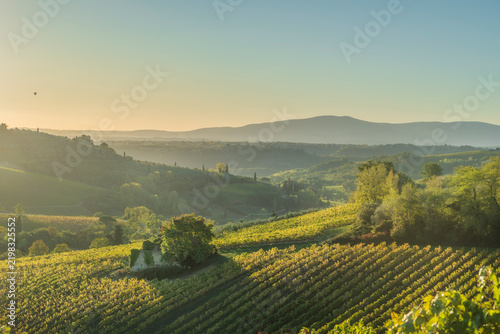Quadro su tela San Gimignano Vineyards and Hills Sunrise in Tuscany