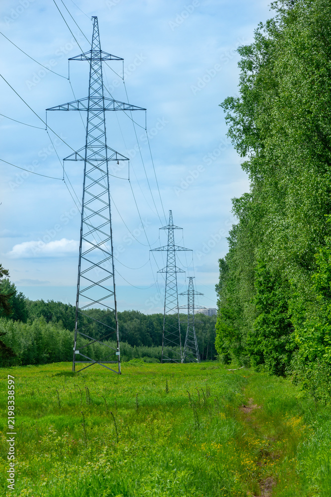 Obraz premium A high‑voltage power transmission line amidst the forest.