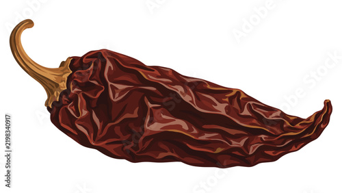 Dried chipotle pepper illustration isolated on white background