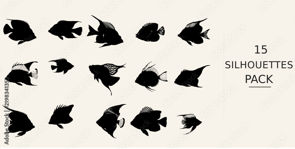 Fototapeta premium Angelfish Swimming Silhouette - Three Quarter View Bold Black Shape Black Vector Clipart on White Background