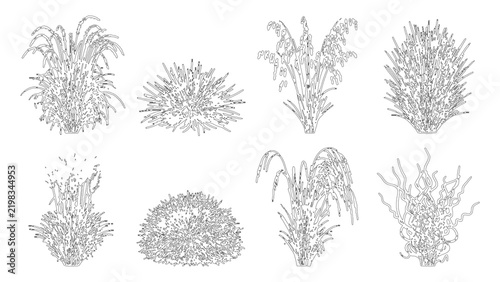 Set of various handdrawn sketch style grass and shrub plants isolated on transparent background