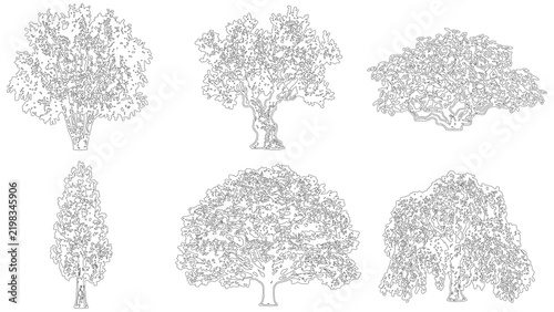 Collection of various handdrawn tree silhouettes, detailed black and white botanical illustrations of different tree species isolated on transparent background