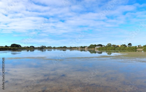 Marais de la Trinité-Sur-Mer (Morbihan)