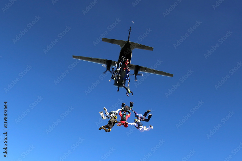 Fototapeta premium Skydivers jumping from a CASA C-212 aircraft.
