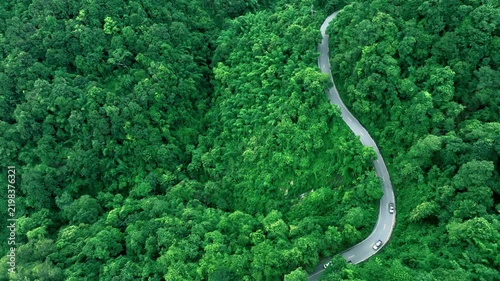 Aerial view of a winding forest road surrounded by dense tropical trees, representing ESG leadership, Sustainability Report, Annual Report, Green Finance, Net Zero Strategy, Carbon Credit initiatives