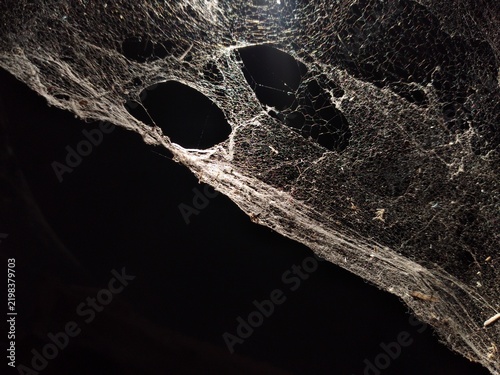 Spooky dusty spider web texture background with holes on dark background 