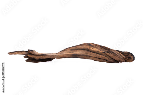 Driftwood aged wood isolated on white background. Piece of driftwood driftwood close up for aquarium.